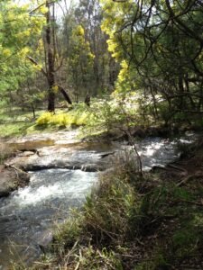 Coolbardie House, Jarrahdale Accommodation
